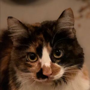 Meet your Posher, Aubrey